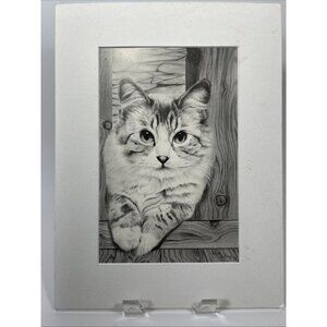 original walt collins print kitty 1998 cat in pencil sketch drawing